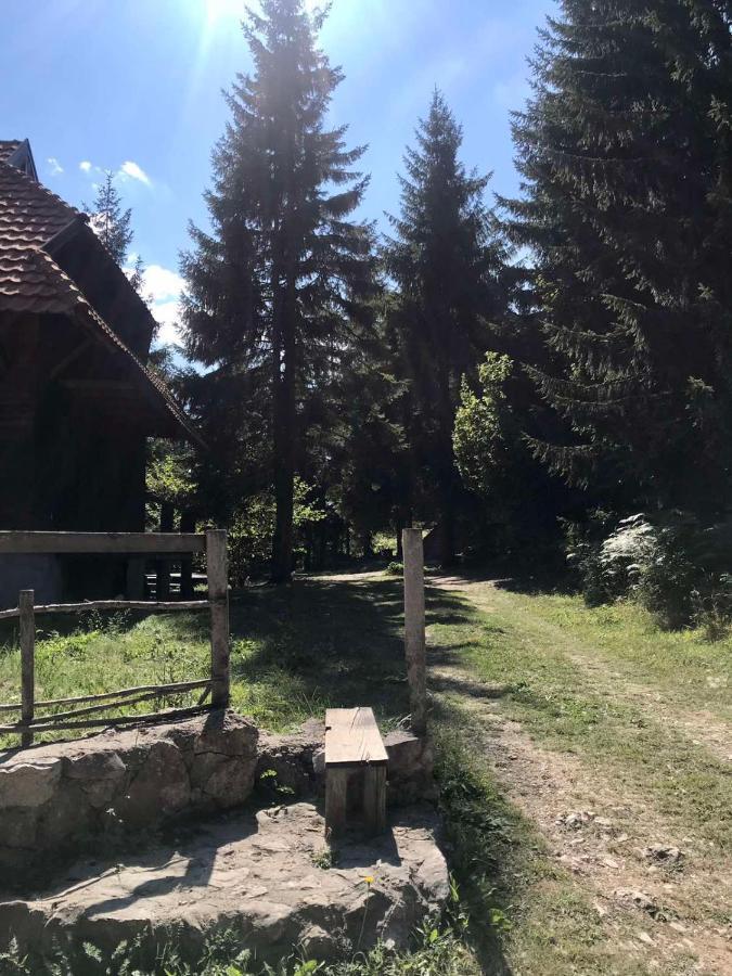 Apartman Mendrea Konjska Reka Zewnętrze zdjęcie